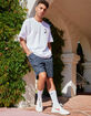 NIKE SB Mens Skate Chino Shorts image number 3