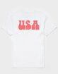 USA Groovy Distressed Unisex Tee image number 1