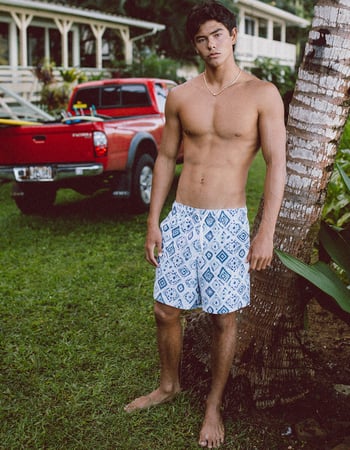 RSQ Mens 6.5" Swim Trunks Primary Image