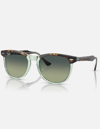 RAY-BAN Eagle Eye Sunglasses Primary Image
