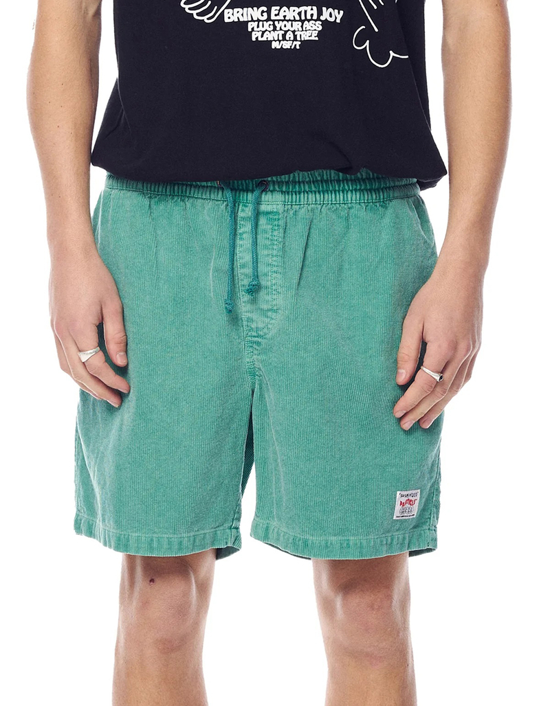 MISFIT SHAPES  Cord Suspended Particle Mens Shorts image number 0