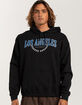 LOS ANGELES Olive Branch Unisex Hoodie image number 3