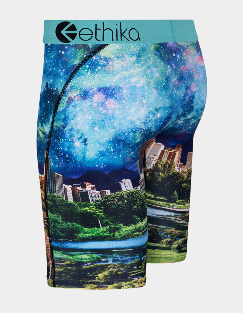 ETHIKA Giraffika Staple Boys Boxer Briefs image number 1