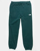 THE NORTH FACE Half Dome Mens Sweatpants image number 1