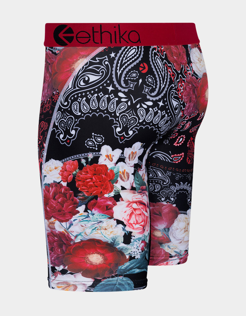 ETHIKA Bandamo Staple Boys Boxer Briefs image number 1