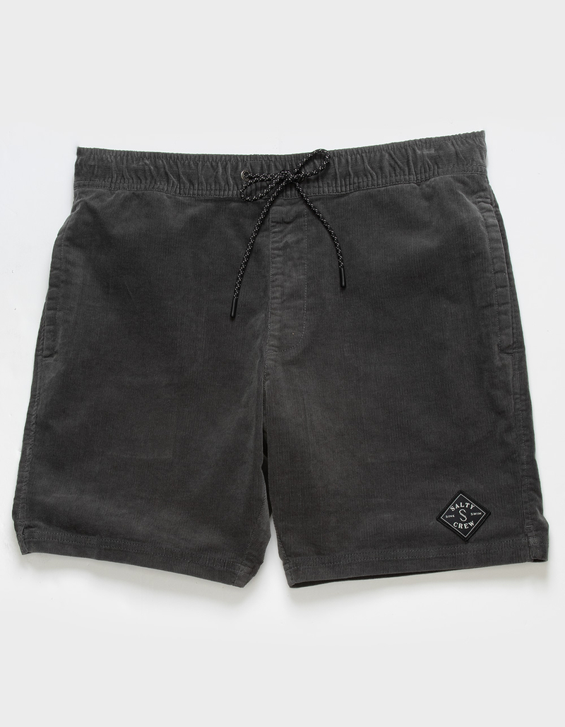 SALTY CREW Sandbar Casual Mens Shorts image number 1
