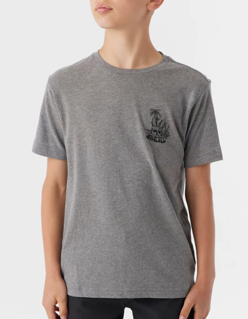O'NEILL Bobber Boys Tee image number 1