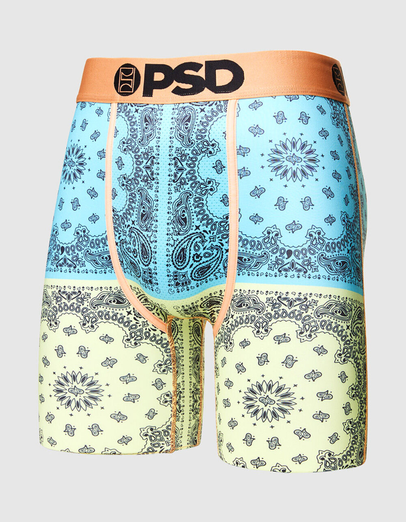 PSD Highlighter Split Mens Boxer Briefs image number 1