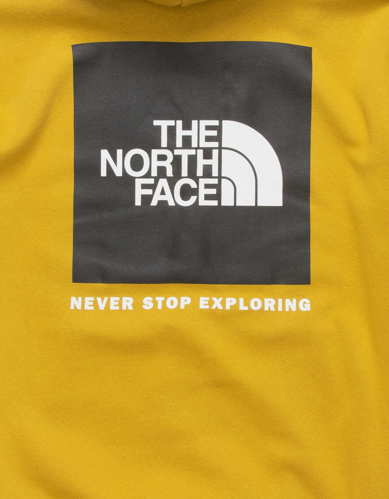 THE NORTH FACE Box NSE Mens Hoodie image number 2