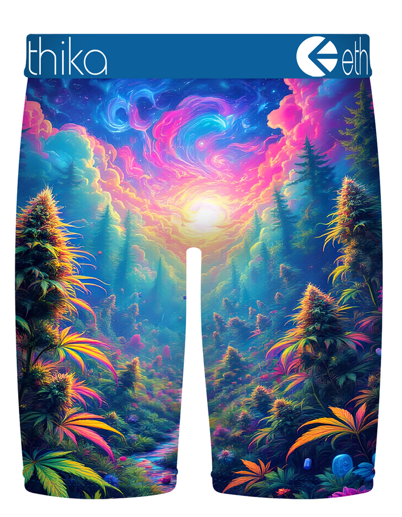 ETHIKA Indica Dreams Staple Mens Boxer Briefs image number 1