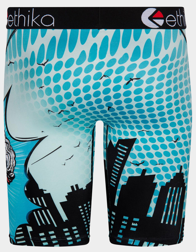 ETHIKA Whats Next Mens Boxer Briefs image number 2