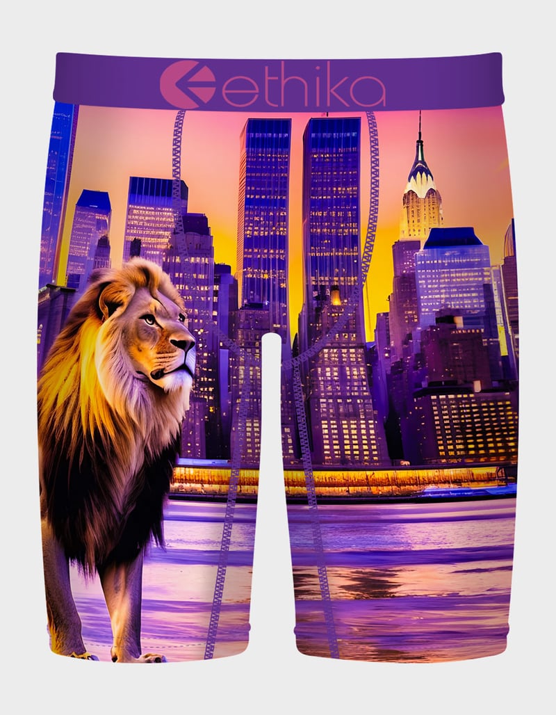 ETHIKA Kingz Jungle Staple Boys Boxer Briefs image number 0