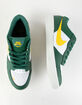 NIKE SB Force 58 Premium Skate Shoes image number 5