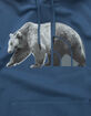 THE NORTH FACE Bear Mens Hoodie image number 2