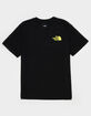 THE NORTH FACE Public Lands Cactus Mens Tee image number 2