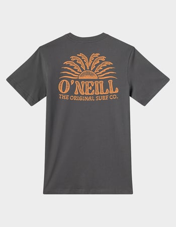 O'NEILL Burst Mens Tee Primary Image
