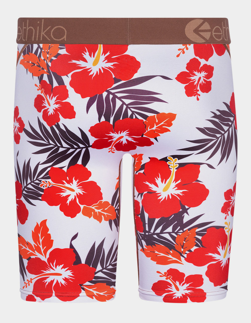 ETHIKA Bomber Hawaiian Staple Boys Boxer Briefs image number 2