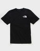 THE NORTH FACE Box NSE Mens Tee image number 2