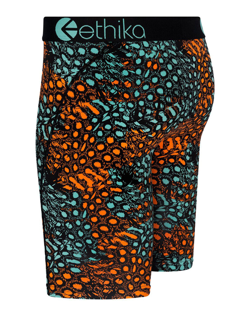 ETHIKA Birds Of A Feather Boys Boxer Briefs image number 1