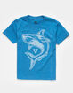 VISSLA Hawaiian Hotline Little Boys T-Shirt (4-7) image number 1