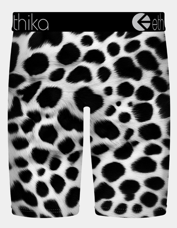 ETHIKA Bomber Out West Staple Mens Boxer Briefs Alternative Image