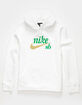 NIKE SB Craft Mens Hoodie image number 1