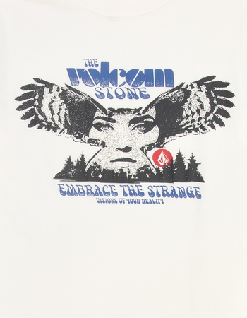 VOLCOM Real Vision Mens Tee Alternative Image