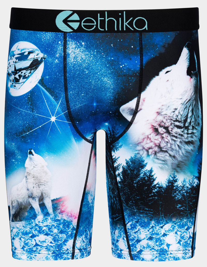 ETHIKA Snow Cap Dog Mens Boxer Briefs image number 0