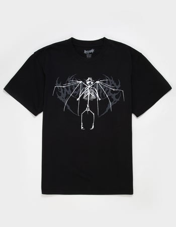 WELCOME SKATEBOARDS Echo Mens Boxy Tee Primary Image