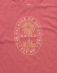 RVCA Palm Seal Mens Tee image number 2