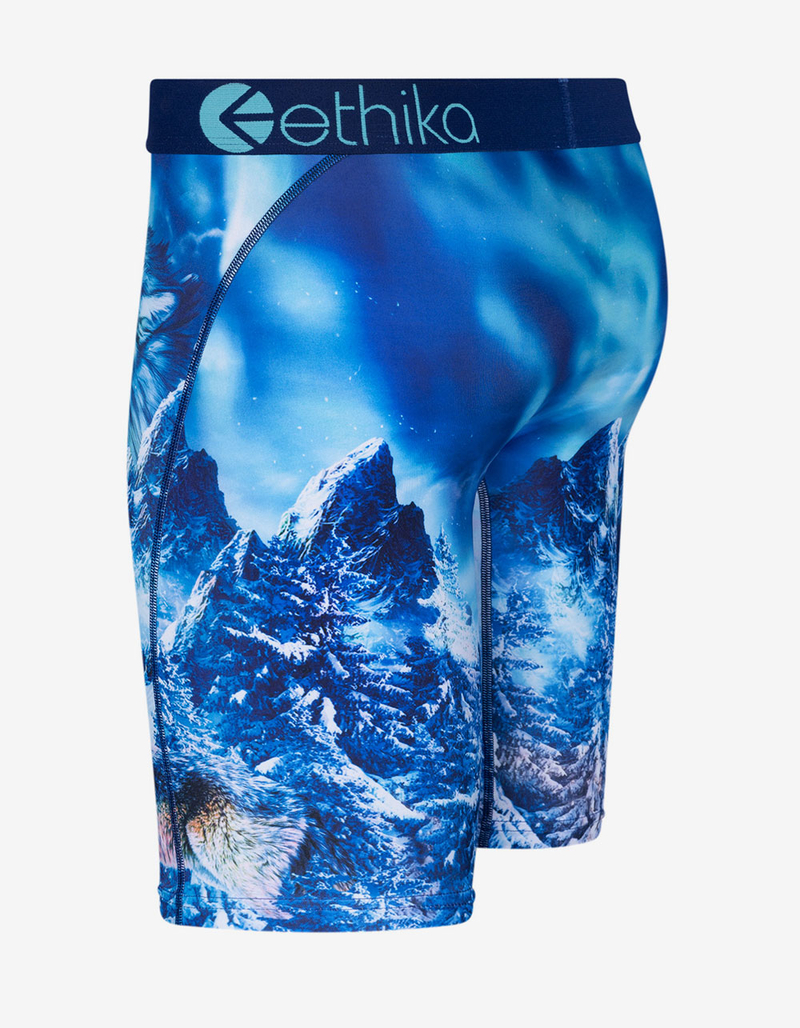 ETHIKA Blue Fangz Staple Boys Boxer Briefs image number 1