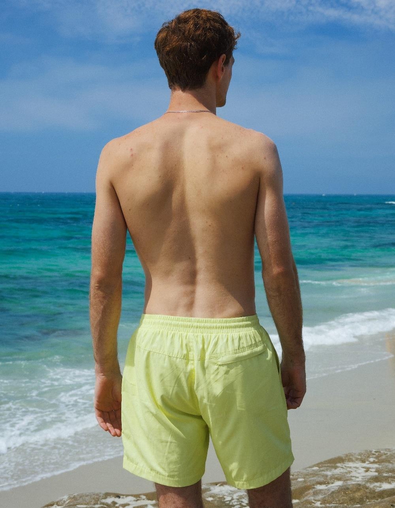 DIPPIN' DAISY'S Ken Mens Swim Shorts image number 4