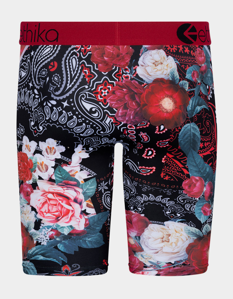 ETHIKA Bandamo Staple Boys Boxer Briefs image number 2