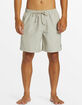 QUIKSILVER Remade Mix Volley Mens 17" Swim Shorts image number 2