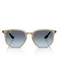 RAY-BAN RB4306 Sunglasses image number 2