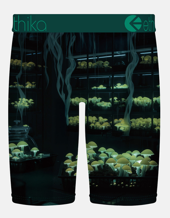 ETHIKA Shroom Alchemist Staple Mens Boxer Briefs Alternative Image