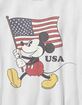 DISNEY Mickey USA Flag Carry Unisex Kids Tee image number 2