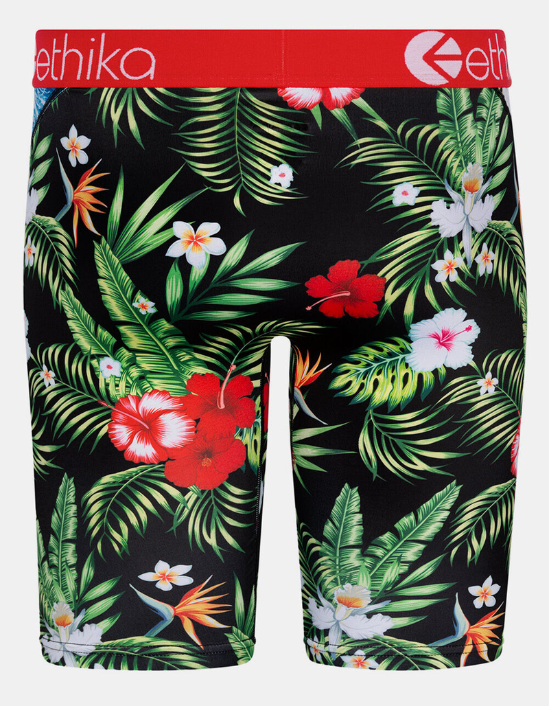 ETHIKA Bomber Beach Bum Boys Boxer Briefs image number 2
