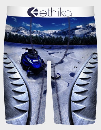 ETHIKA E Laska Staple Mens Boxer Briefs Primary Image