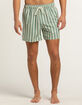 RSQ Simple Stripe Mens 5" Swim Shorts image number 4