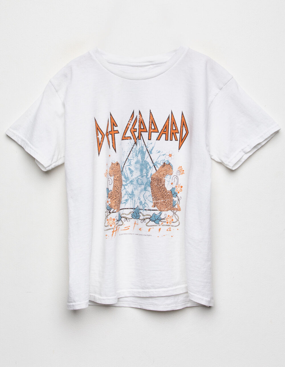 VINYL ICONS Def Leppard Girls Oversized 