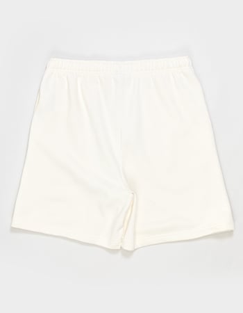THE NORTH FACE Evolution Simple Dome Mens Shorts Alternative Image