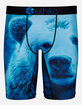 ETHIKA Blue Bear Staple Boys Boxer Briefs image number 1
