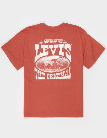 LEVI'S Americana Authentic Mens Tee Primary Image