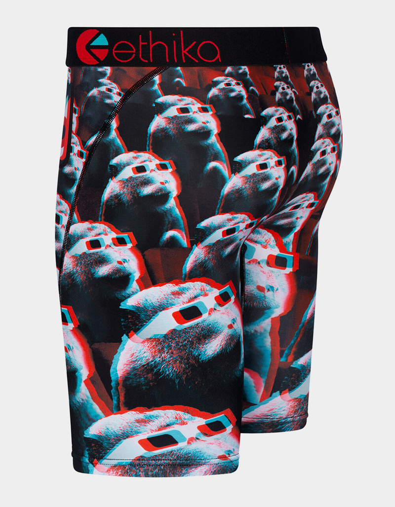 ETHIKA Bomber Business 3D Boys Boxer Briefs image number 1