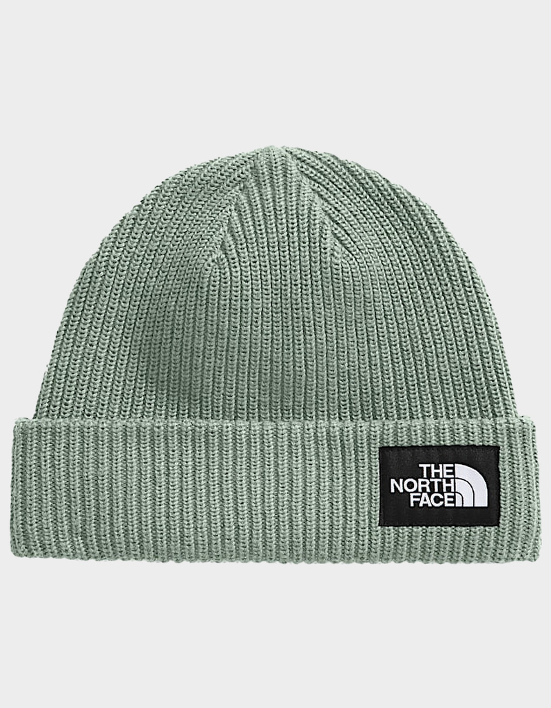 THE NORTH FACE Salty Lined Beanie image number 0