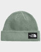 THE NORTH FACE Salty Lined Beanie image number 1