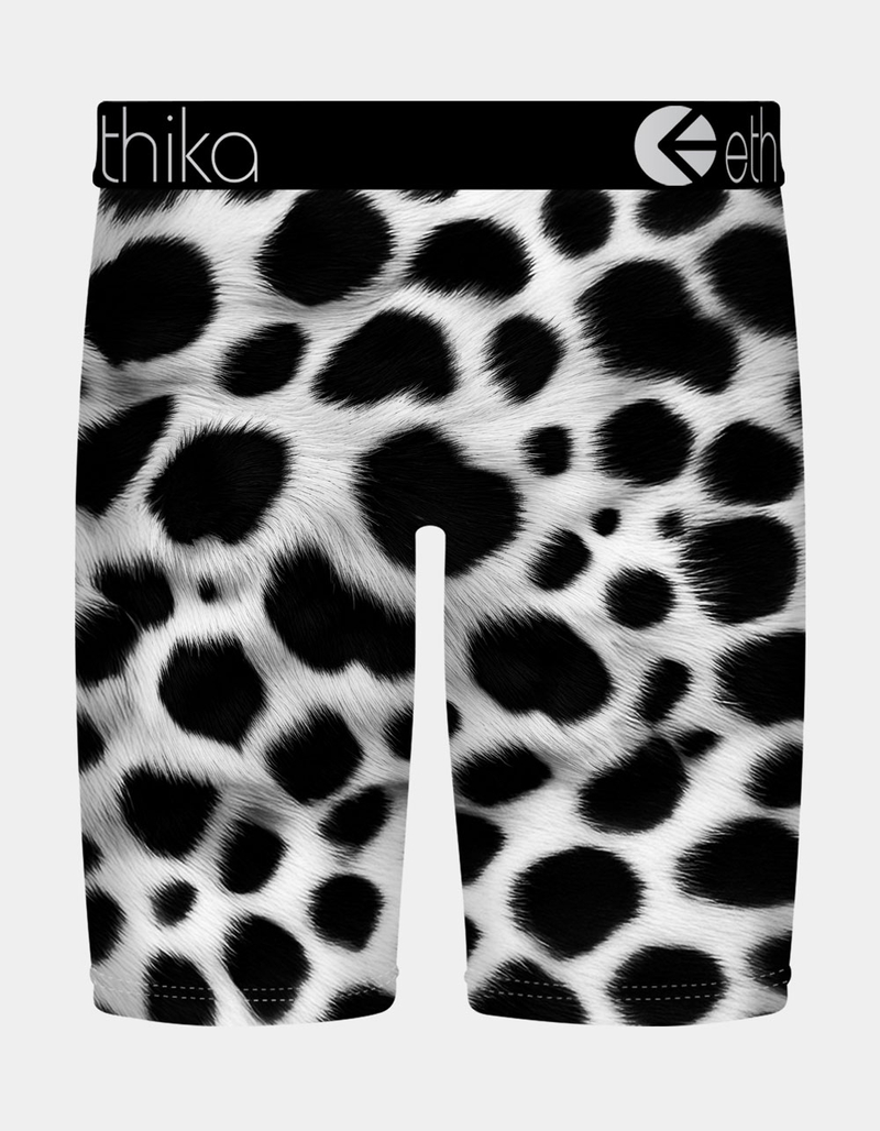 ETHIKA Bomber Out West Staple Boys Boxer Briefs image number 1