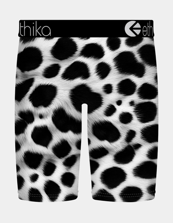 ETHIKA Bomber Out West Staple Boys Boxer Briefs Alternative Image