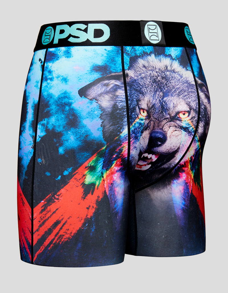 PSD Alpha Mens Boxer Briefs image number 2
